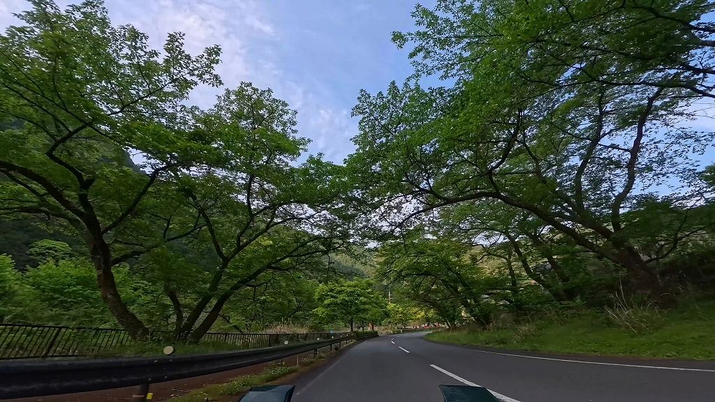 国道169号(北山〜上北山区間)